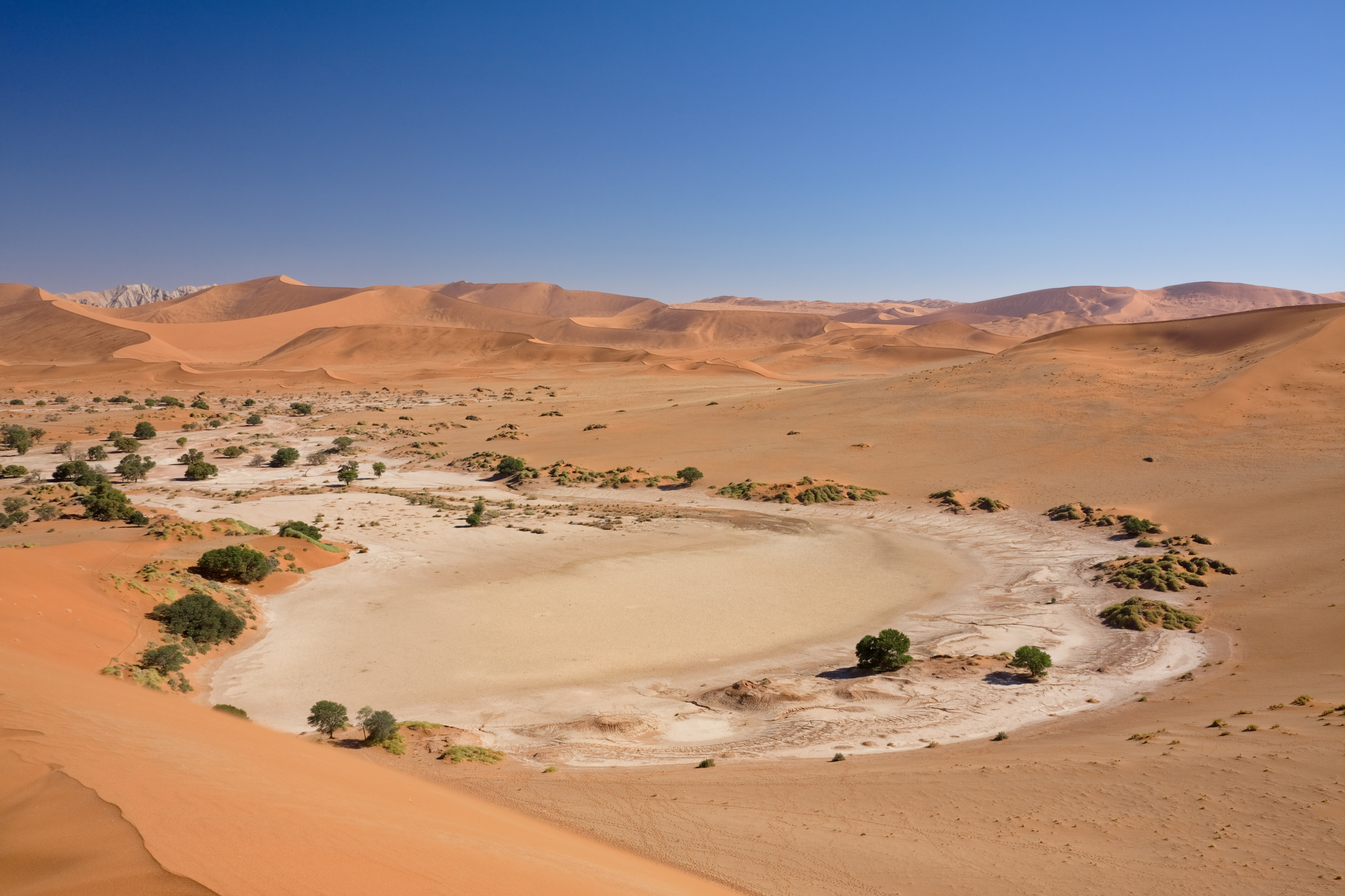 Sossusvlei & Namib Desert