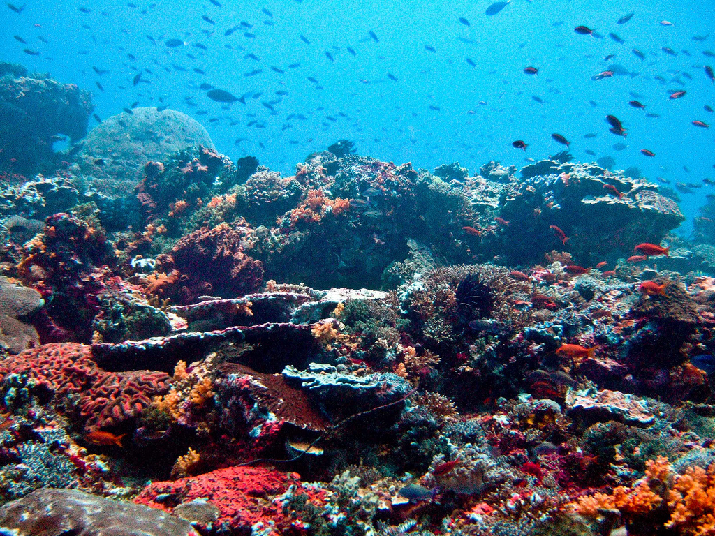 Mergui Archipelago, Myanmar
