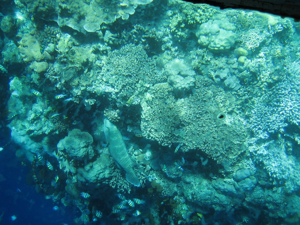 Bunaken, Indonesia