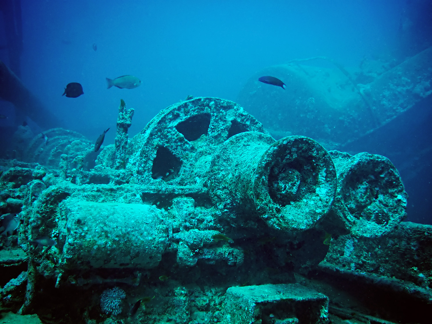 SS Thistlegorm, Red Sea