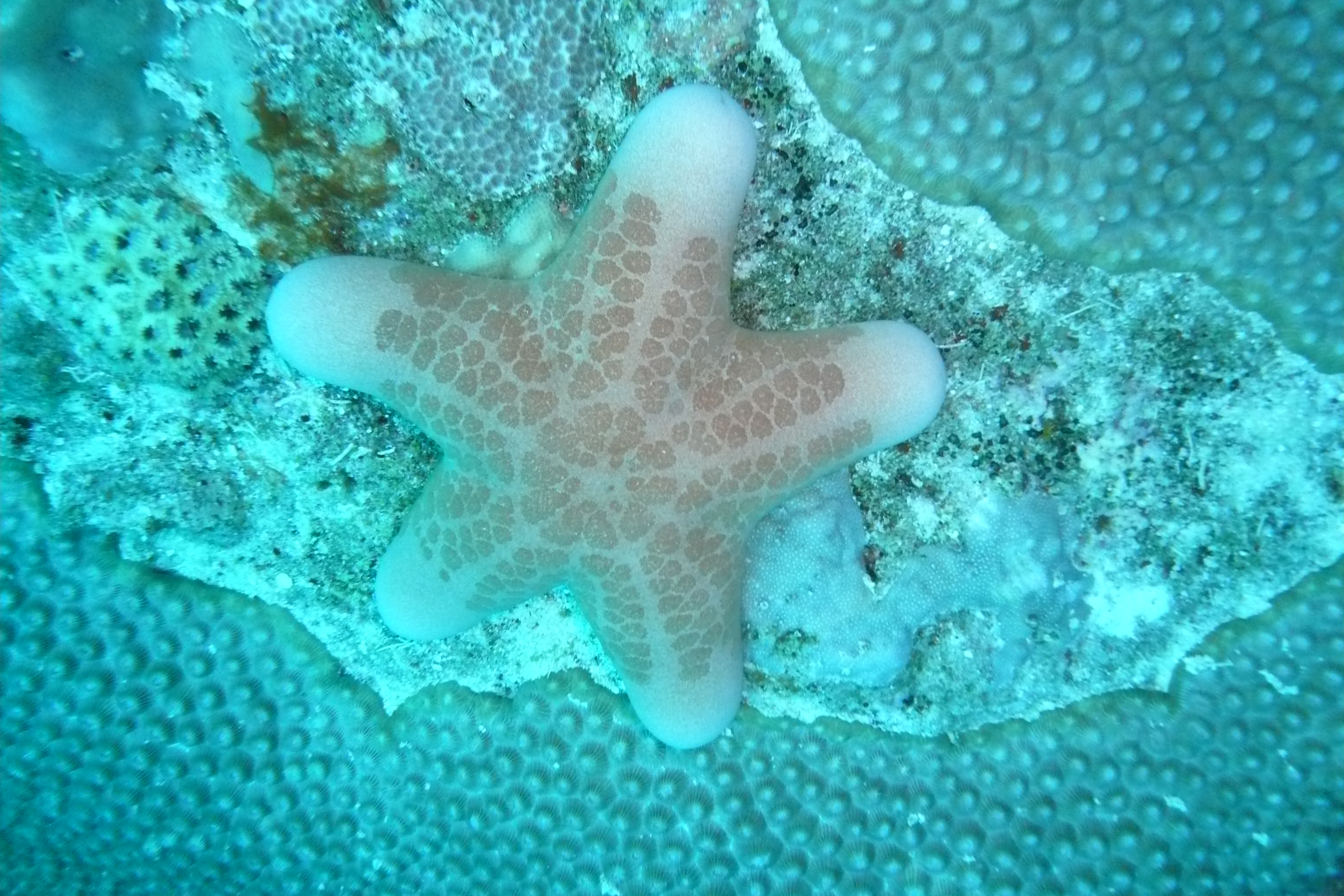 Roatan, Honduras