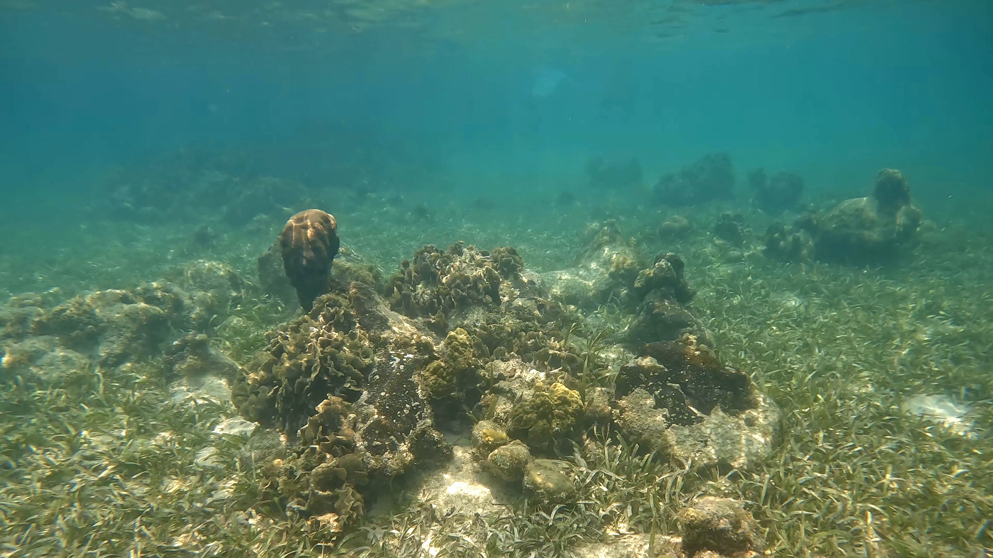 Cozumel, Mexico