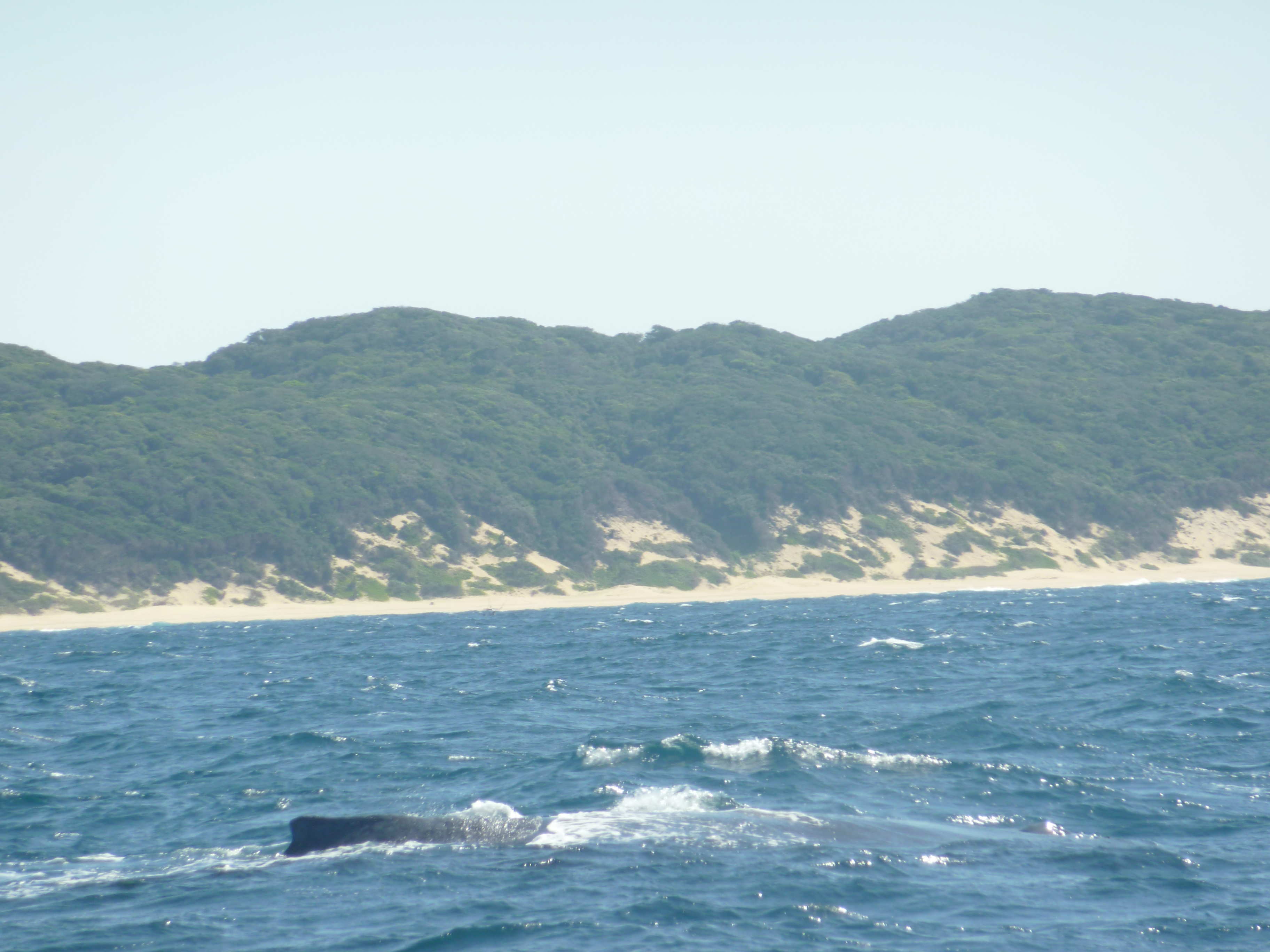 Sodwana Bay, South Africa