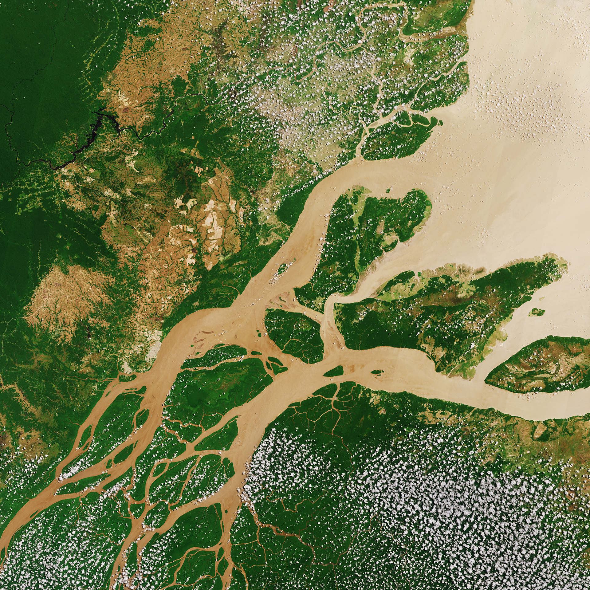 Pantanal, Brazil